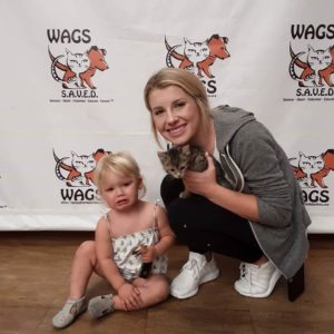 sweet mother and baby adopted cat