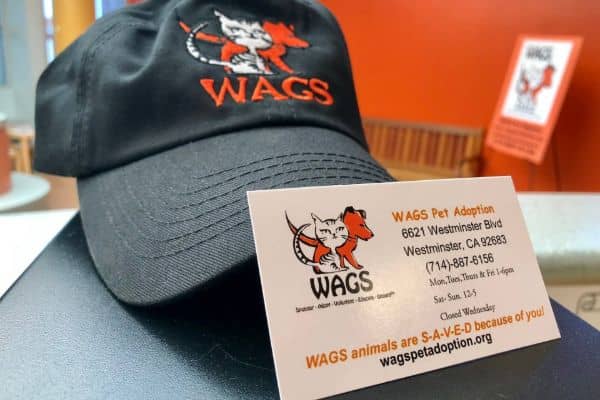 Donate to WAGS!