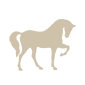 horse-white