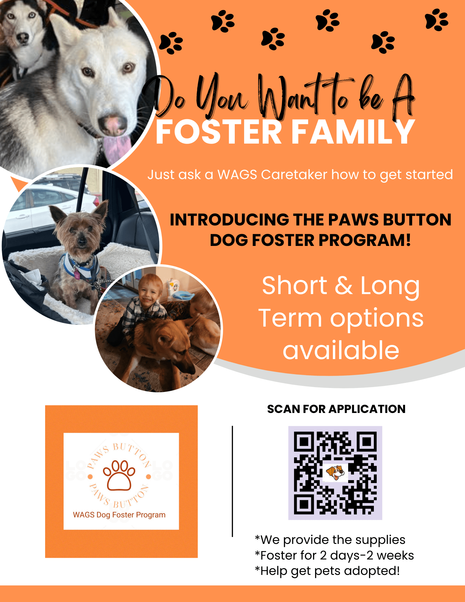 Paws Button Dog Foster Program