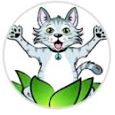 The Happy Cat Rescue and Wellness Foundation