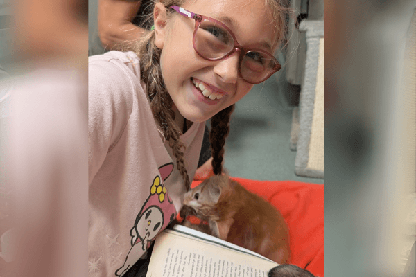 A girl wearing an eyeglass playing with a color orange kitten at WAGS Pet Adoption.